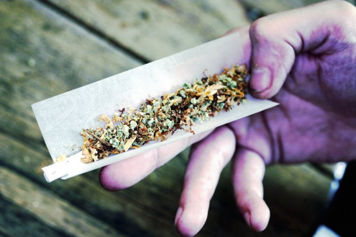 Ilustračný obrázok k článku Prieskum: Marihuana je najčastejšie užívanou ilegálnou drogou na Slovensku